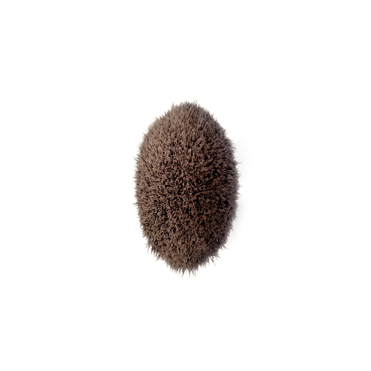 Conceal and Correct Brush