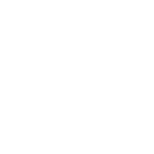 ANISA Beauty Brushes Are Vegan