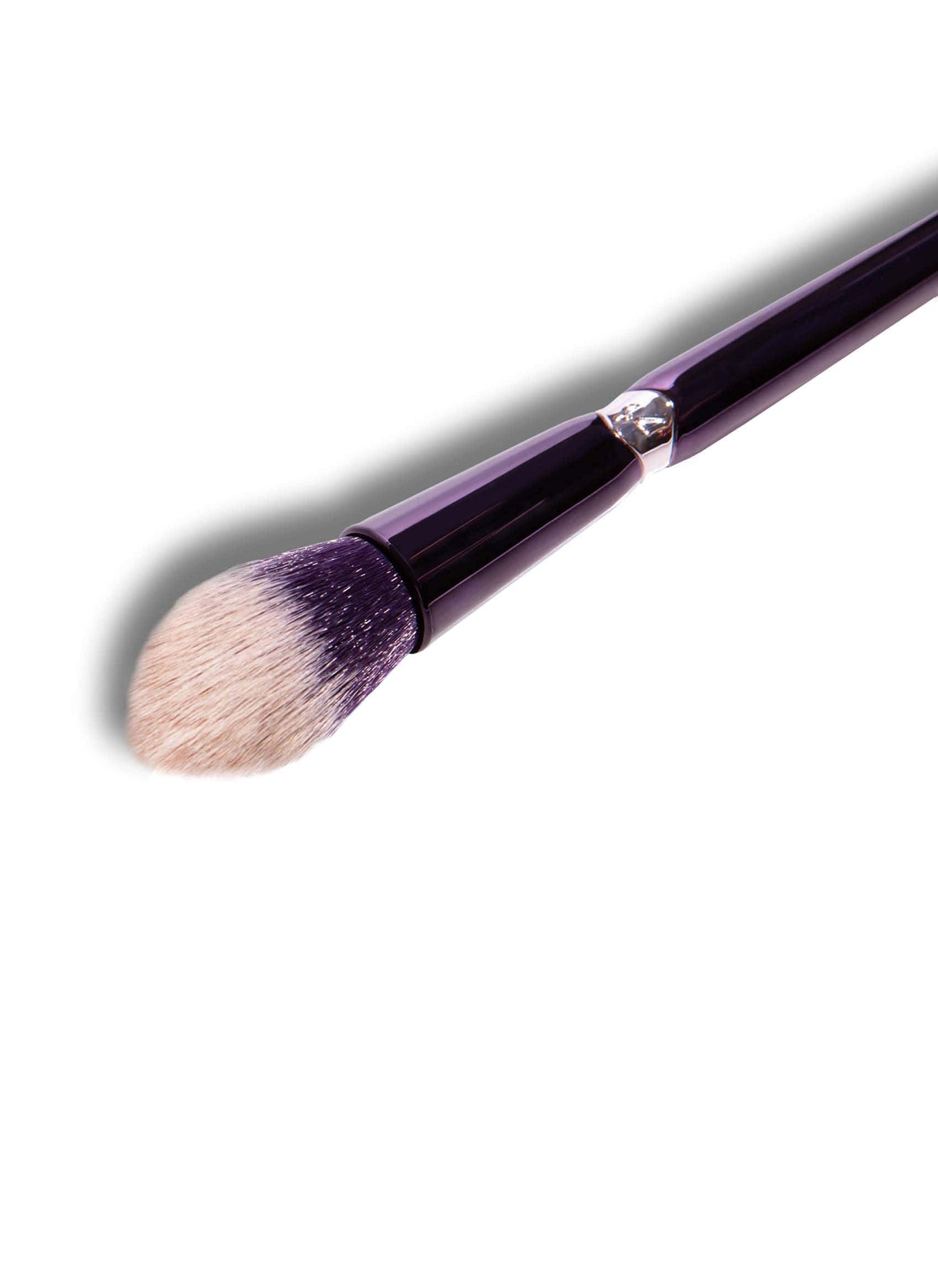 Tapered Highlight Brush Makeup Brushes ANISA Beauty